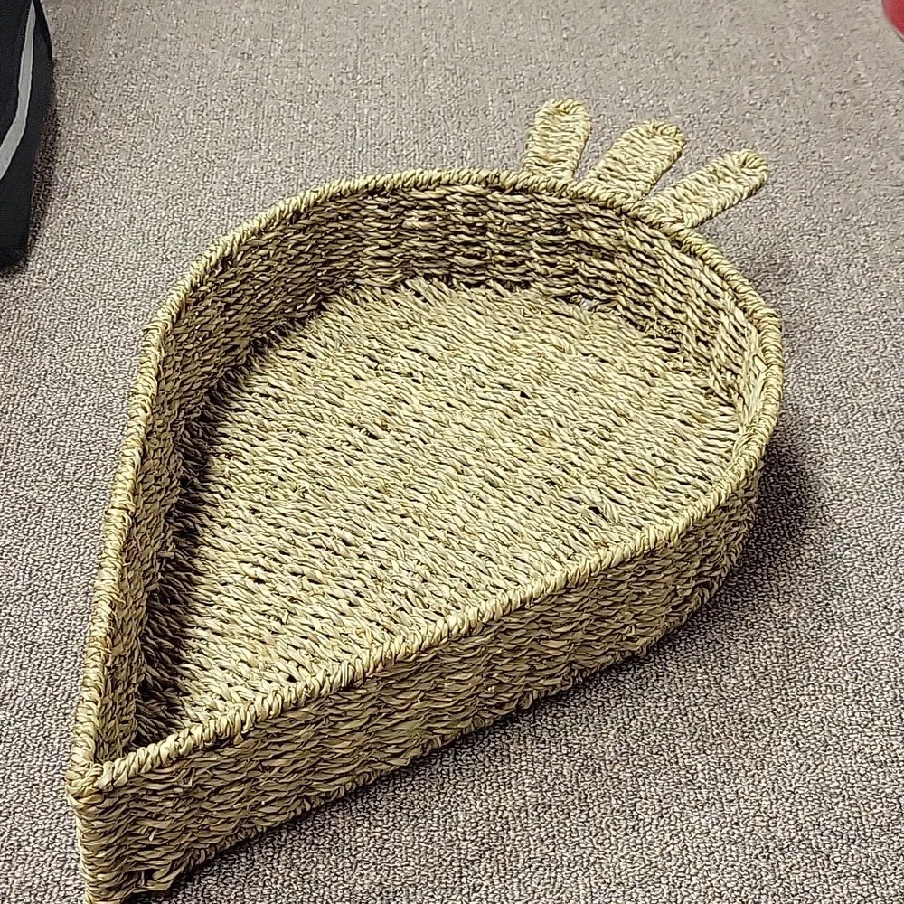 Basket for tabletop. Carrot For Easter. Nwot - Picture 1 of 2